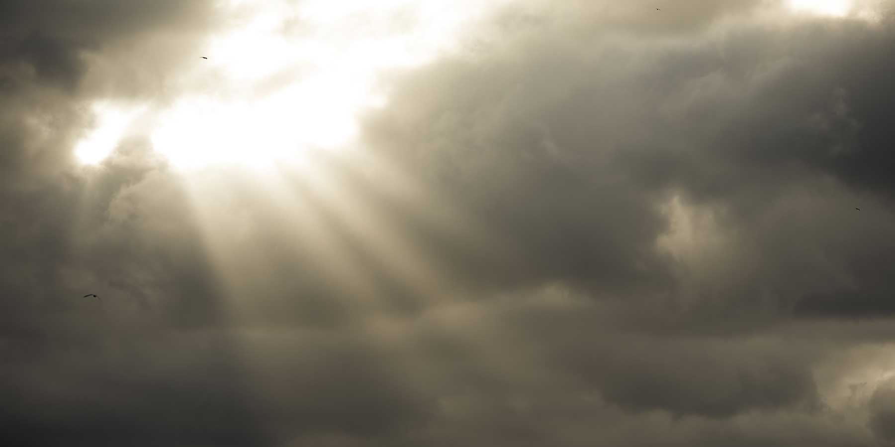 truama centet sitting on clouds